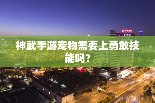 神武手游宠物需要上勇敢技能吗？