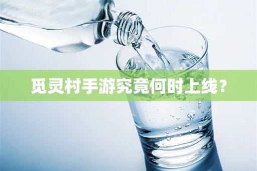 觅灵村手游究竟何时上线？