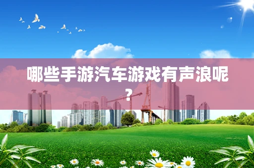 哪些手游汽车游戏有声浪呢？