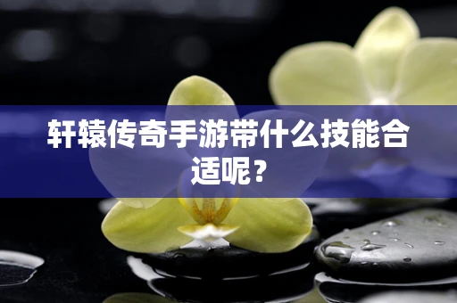 轩辕传奇手游带什么技能合适呢？