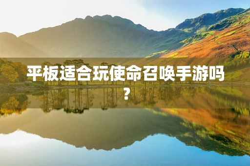 平板适合玩使命召唤手游吗？