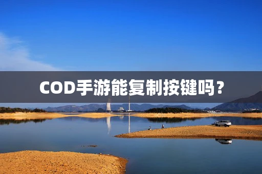 COD手游能复制按键吗？