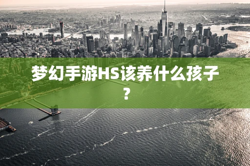 梦幻手游HS该养什么孩子？