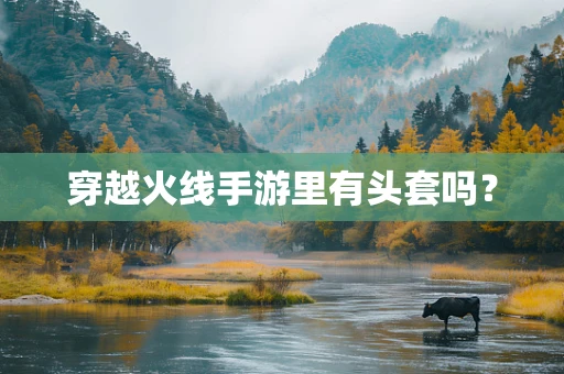 穿越火线手游里有头套吗？