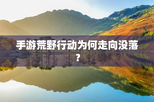 手游荒野行动为何走向没落？