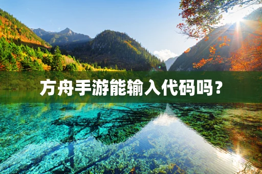 方舟手游能输入代码吗？