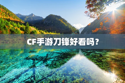CF手游刀锋好看吗？