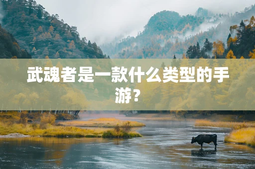 武魂者是一款什么类型的手游？