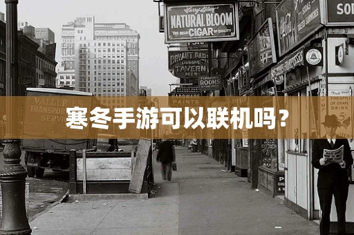 寒冬手游可以联机吗？