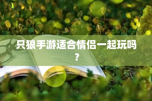 只狼手游适合情侣一起玩吗？