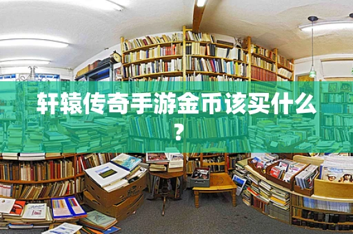 轩辕传奇手游金币该买什么？