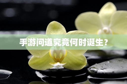 手游问道究竟何时诞生？