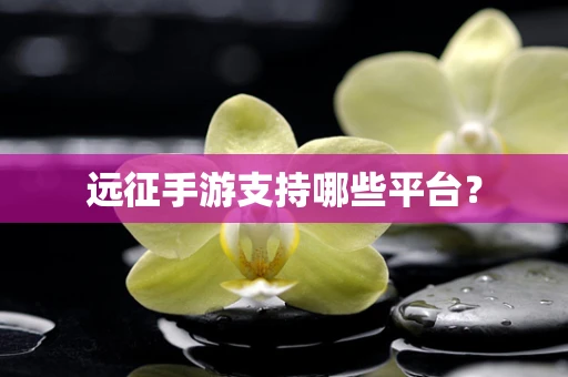 远征手游支持哪些平台？