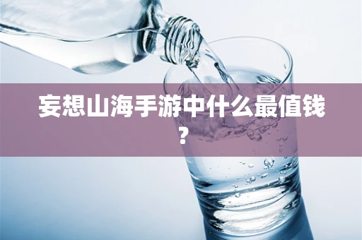 妄想山海手游中什么最值钱？