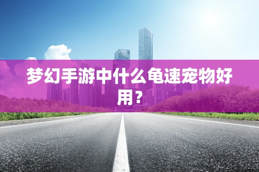 梦幻手游中什么龟速宠物好用？