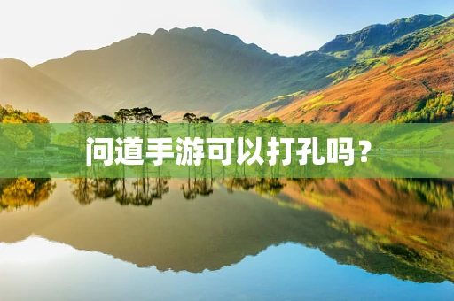 问道手游可以打孔吗？