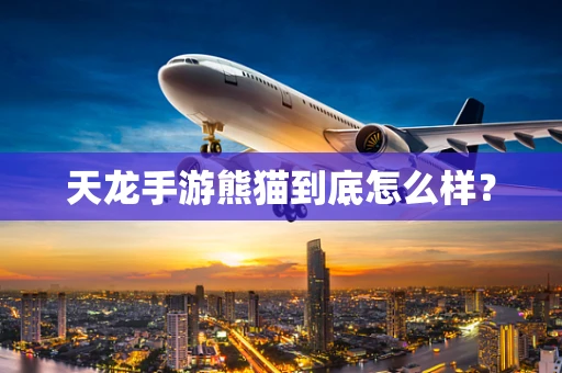 天龙手游熊猫到底怎么样？
