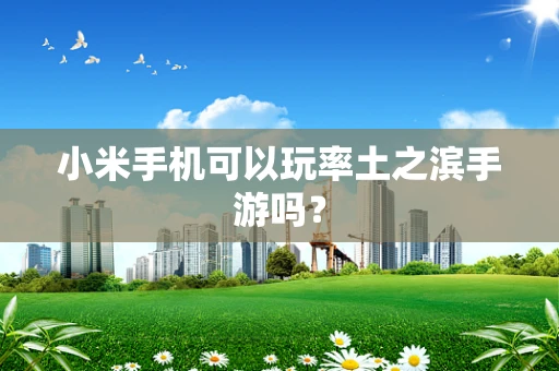 小米手机可以玩率土之滨手游吗？