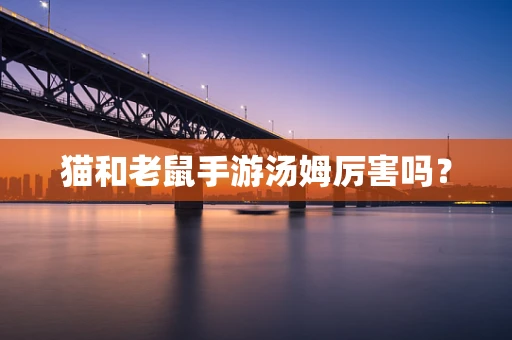 猫和老鼠手游汤姆厉害吗？