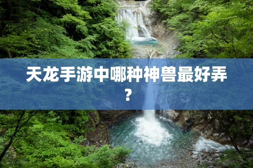 天龙手游中哪种神兽最好弄？
