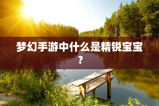 梦幻手游中什么是精锐宝宝？