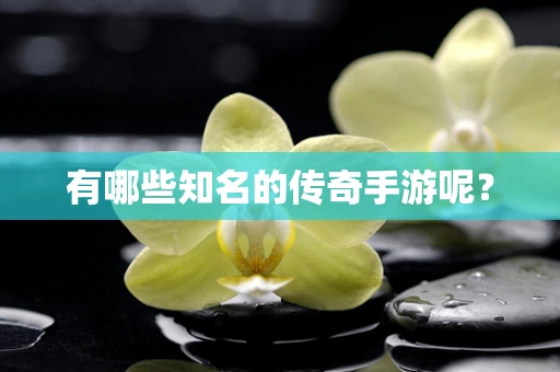 有哪些知名的传奇手游呢？