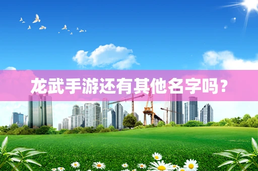 龙武手游还有其他名字吗？