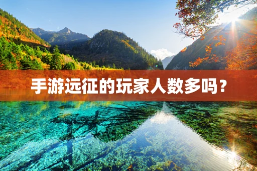 手游远征的玩家人数多吗？