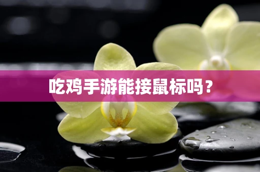 吃鸡手游能接鼠标吗？