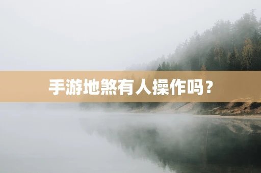 手游地煞有人操作吗？