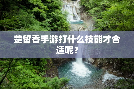 楚留香手游打什么技能才合适呢？