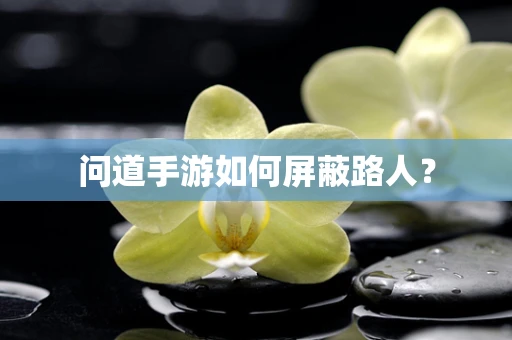 问道手游如何屏蔽路人？