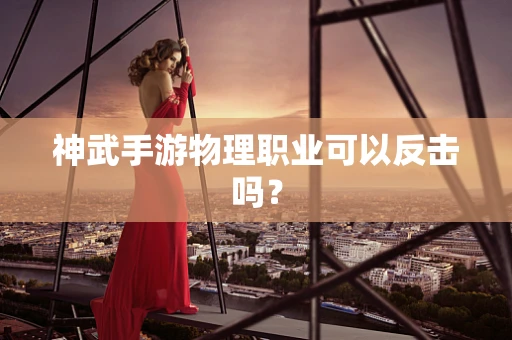 神武手游物理职业可以反击吗？