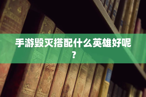 手游毁灭搭配什么英雄好呢？