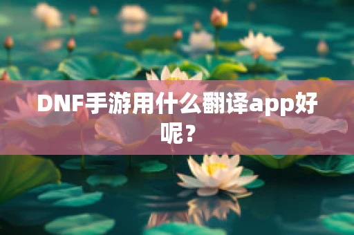 DNF手游用什么翻译app好呢？