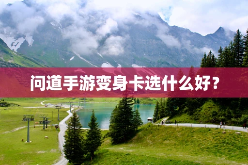 问道手游变身卡选什么好？