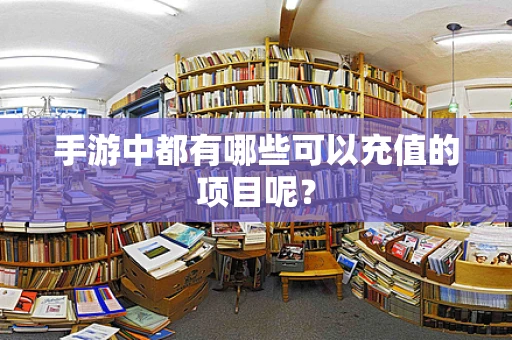 手游中都有哪些可以充值的项目呢？