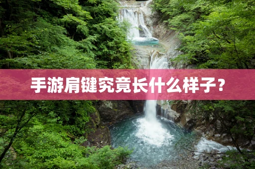 手游肩键究竟长什么样子？