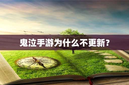 鬼泣手游为什么不更新？