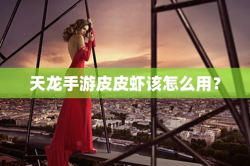 天龙手游皮皮虾该怎么用？