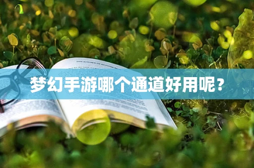 梦幻手游哪个通道好用呢？