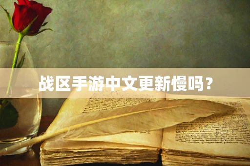 战区手游中文更新慢吗？