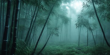 倩女幽魂手游有哪些版本？