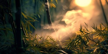 火影手游现在还能退款吗？