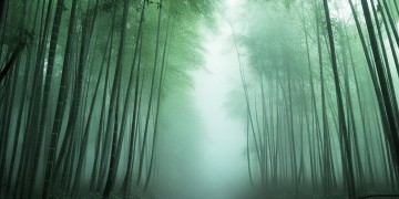 天刀手游镖师究竟是什么？