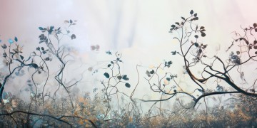 手游为何不能修炼了？